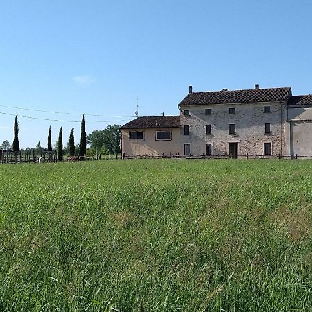 B&B Castel Goffredo San P 3 外观 照片