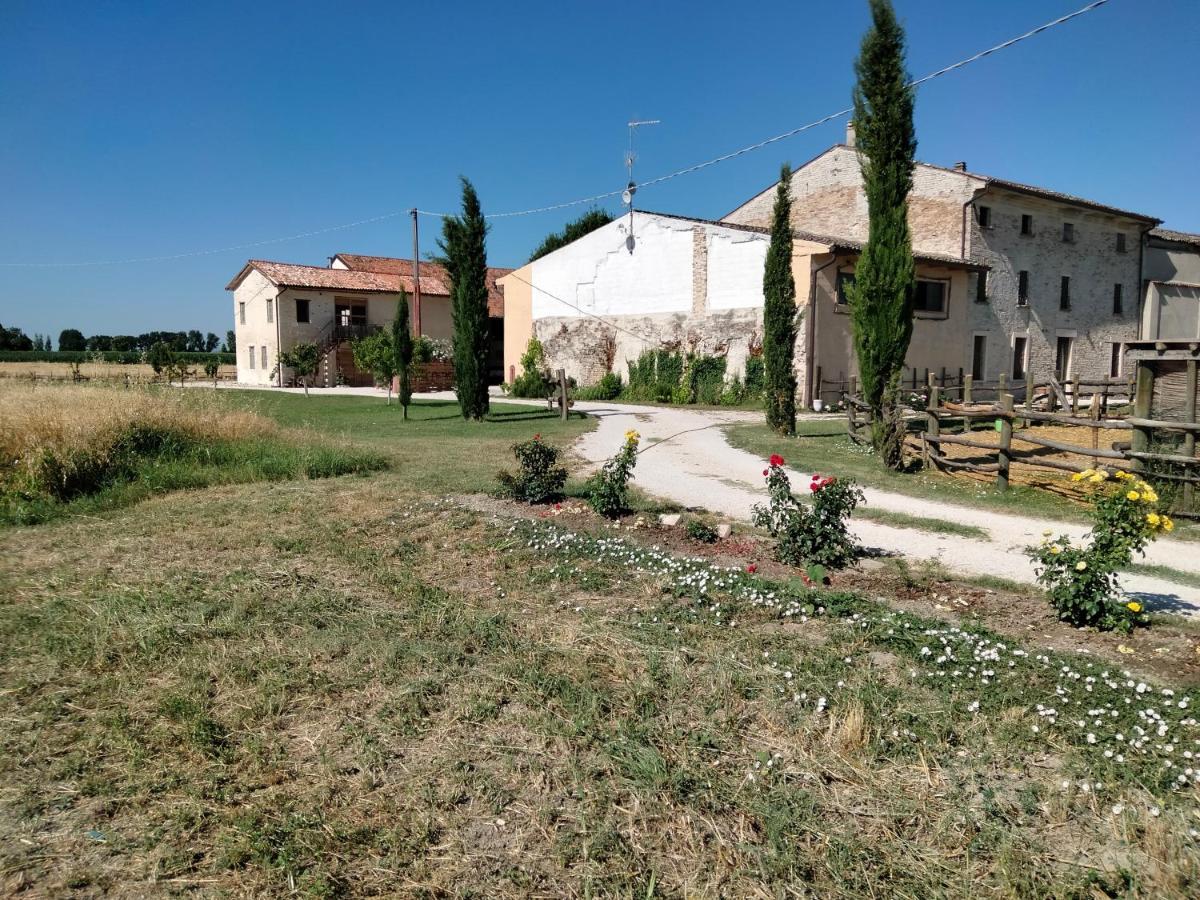 B&B Castel Goffredo San P 3 外观 照片