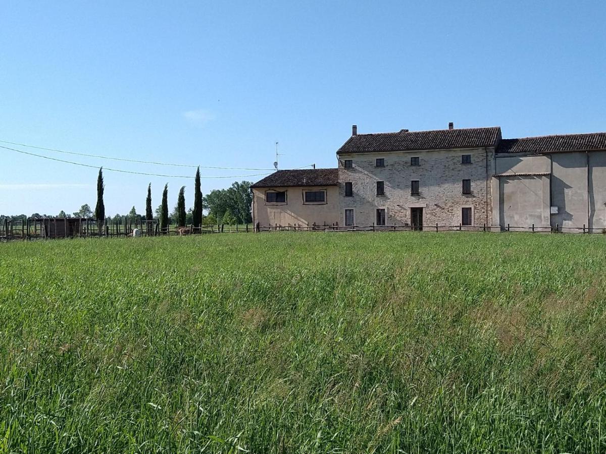 B&B Castel Goffredo San P 3 外观 照片