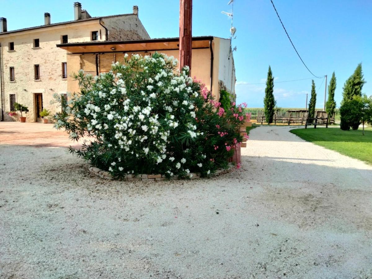 B&B Castel Goffredo San P 3 外观 照片