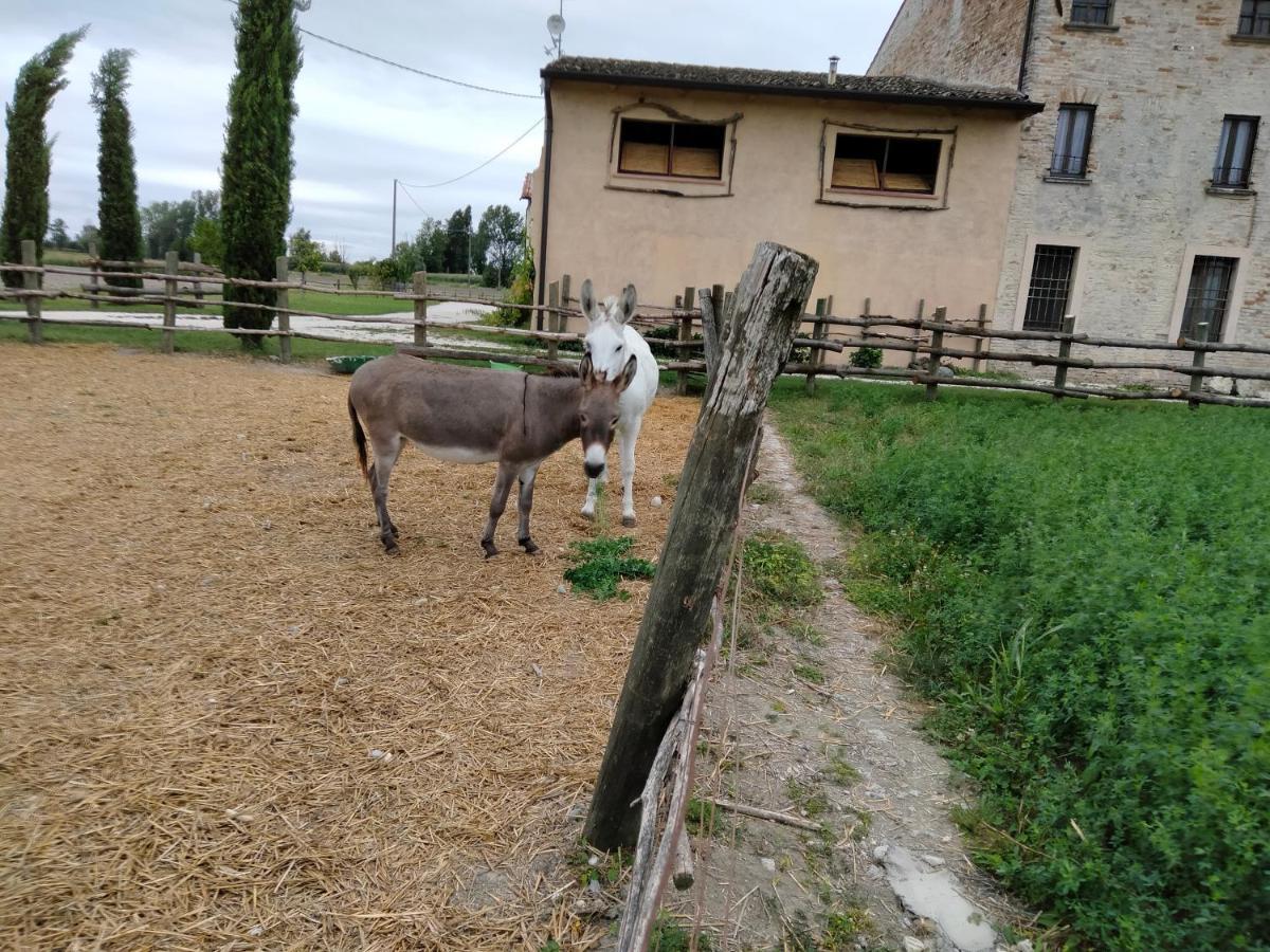 B&B Castel Goffredo San P 3 外观 照片