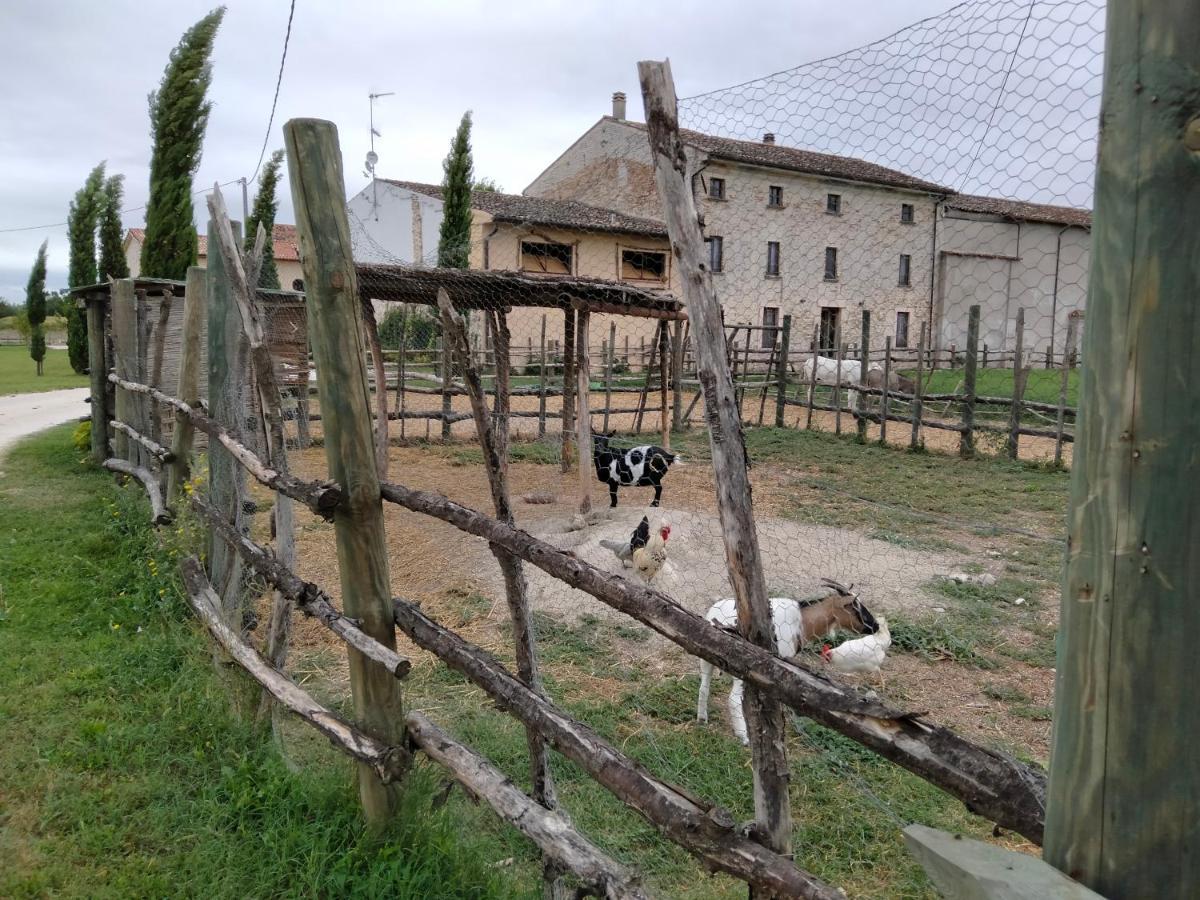 B&B Castel Goffredo San P 3 外观 照片